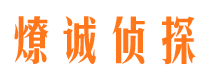 大悟市侦探调查公司